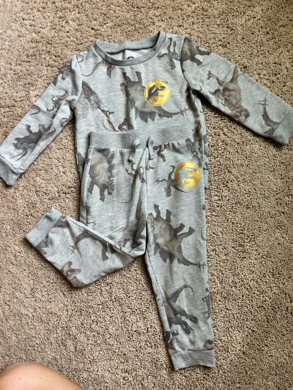 Kids Gray Jurassic World Dinosaur Matching Set - Long Sleeve Top & Jogger Pants